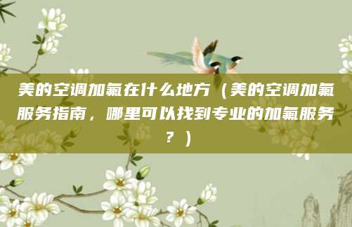 美的空调加氟在什么地方（美的空调加氟服务指南，哪里可以找到专业的加氟服务？）