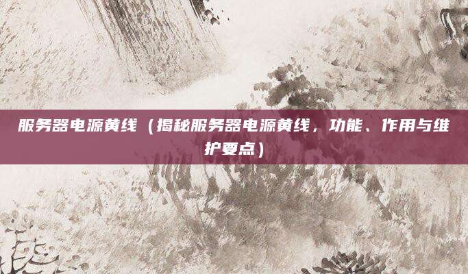 服务器电源黄线（揭秘服务器电源黄线，功能、作用与维护要点）