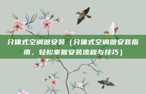 分体式空调器安装（分体式空调器安装指南，轻松掌握安装流程与技巧）