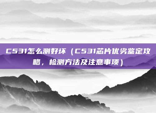 C531怎么测好坏(C531芯片优劣鉴定攻略,检测方法及注意事项)