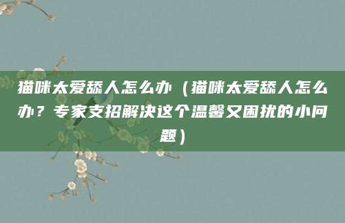 猫咪太爱舔人怎么办（猫咪太爱舔人怎么办？专家支招解决这个温馨又困扰的小问题）