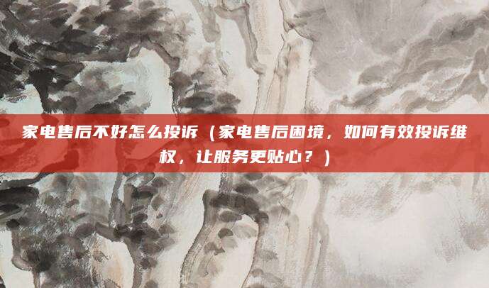 家电售后不好怎么投诉(家电售后困境,如何有效投诉维权,让服务更贴心?)