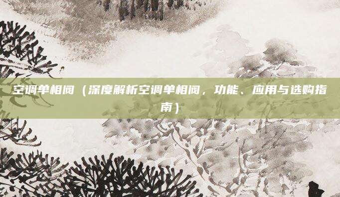 空调单相阀（深度解析空调单相阀，功能、应用与选购指南）