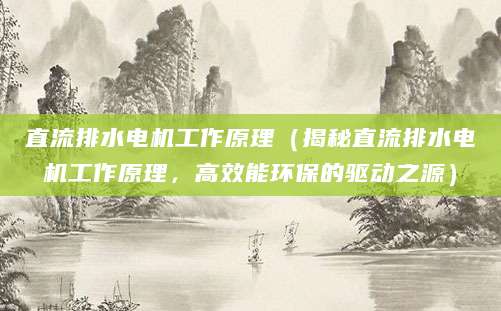 直流排水电机工作原理（揭秘直流排水电机工作原理，高效能环保的驱动之源）
