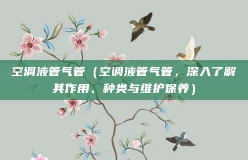 空调液管气管（空调液管气管，深入了解其作用、种类与维护保养）