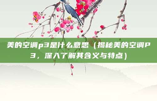 美的空调p3是什么意思（揭秘美的空调P3，深入了解其含义与特点）