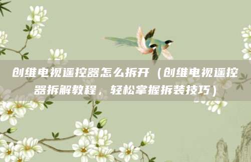 创维电视遥控器怎么拆开（创维电视遥控器拆解教程，轻松掌握拆装技巧）