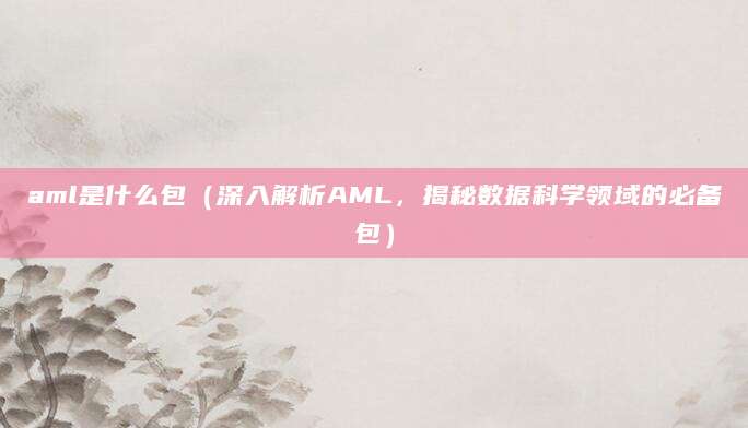 aml是什么包(深入解析AML,揭秘数据科学领域的必备包)