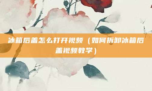 冰箱后盖怎么打开视频（如何拆卸冰箱后盖视频教学）