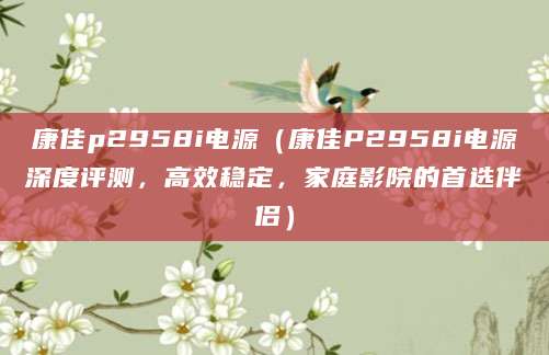 康佳p2958i电源（康佳P2958i电源深度评测，高效稳定，家庭影院的首选伴侣）