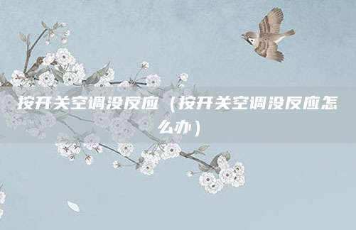 按开关空调没反应(按开关空调没反应怎么办)