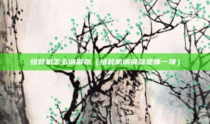 组装机怎么调屏参（组装机调屏参是哪一项）