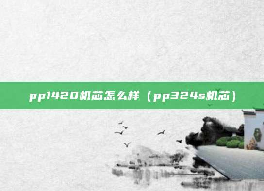pp1420机芯怎么样（pp324s机芯）
