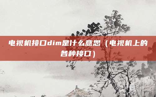 电视机接口dim是什么意思（电视机上的各种接口）