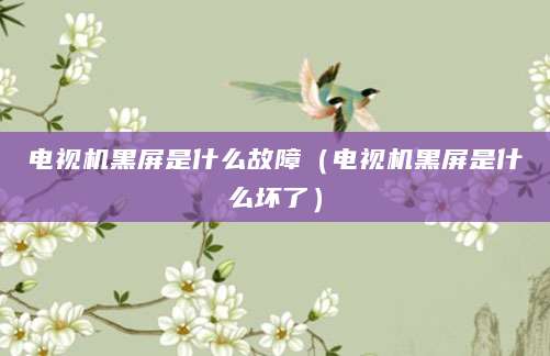 电视机黑屏是什么故障(电视机黑屏是什么坏了)