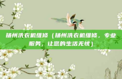 扬州洗衣机维修（扬州洗衣机维修，专业服务，让您的生活无忧）