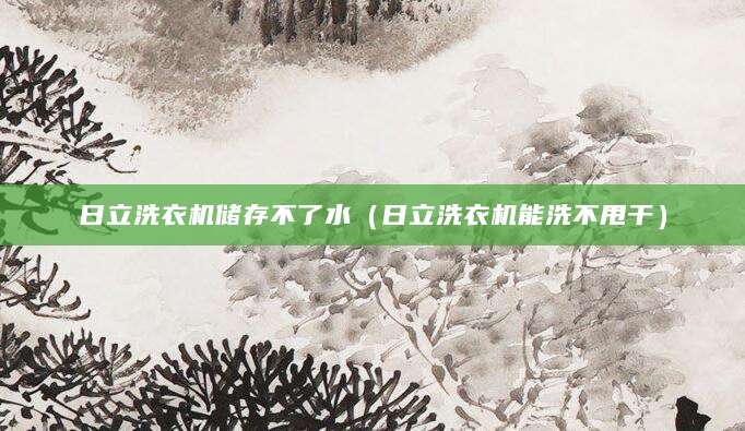日立洗衣机储存不了水（日立洗衣机能洗不甩干）