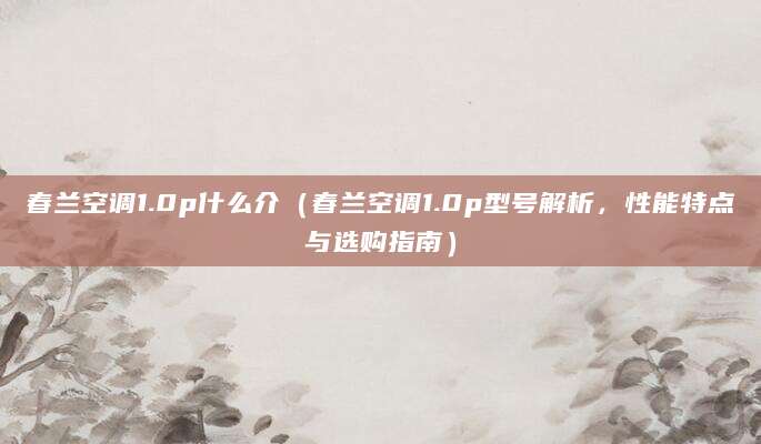 春兰空调1.0p什么介（春兰空调1.0p型号解析，性能特点与选购指南）