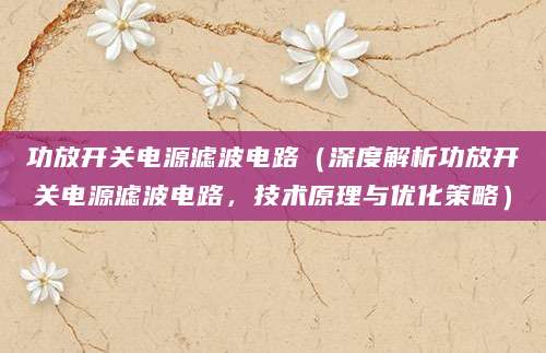 功放开关电源滤波电路（深度解析功放开关电源滤波电路，技术原理与优化策略）