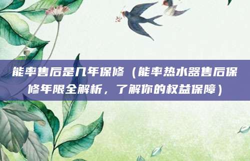 能率售后是几年保修（能率热水器售后保修年限全解析，了解你的权益保障）