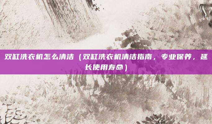 双缸洗衣机怎么清洁(双缸洗衣机清洁指南,专业保养,延长使用寿命)