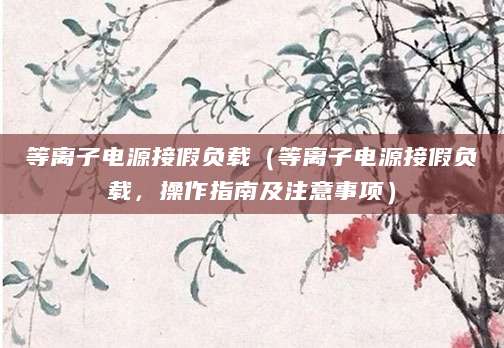 等离子电源接假负载(等离子电源接假负载,操作指南及注意事项)