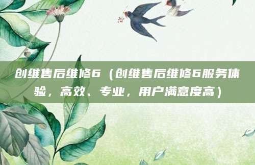 创维售后维修6（创维售后维修6服务体验，高效、专业，用户满意度高）