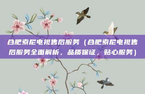 合肥索尼电视售后服务（合肥索尼电视售后服务全面解析，品质保证，贴心服务）