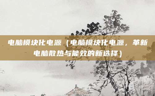 电脑模块化电源（电脑模块化电源，革新电脑散热与能效的新选择）