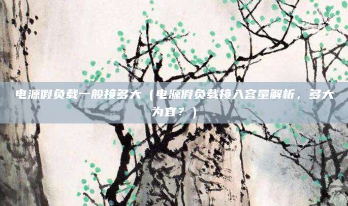 电源假负载一般接多大（电源假负载接入容量解析，多大为宜？）