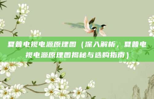 夏普电视电源原理图(深入解析,夏普电视电源原理图揭秘与选购指南)