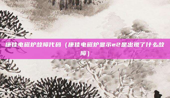 康佳电磁炉故障代码（康佳电磁炉显示e2是出现了什么故障）