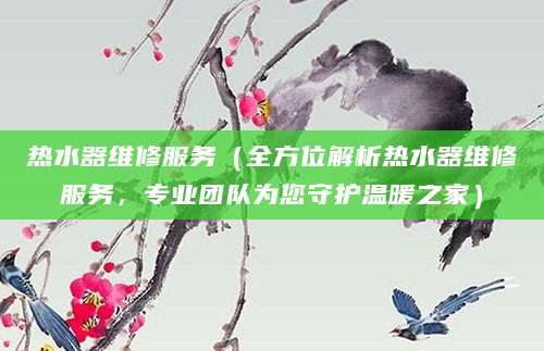 热水器维修服务(全方位解析热水器维修服务,专业团队为您守护温暖之家)