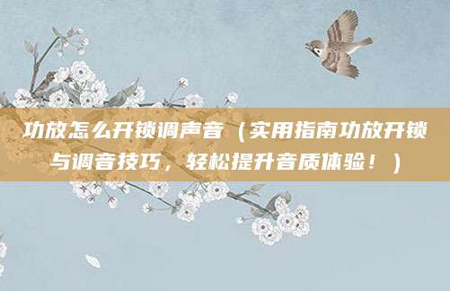 功放怎么开锁调声音(实用指南功放开锁与调音技巧,轻松提升音质体验!)