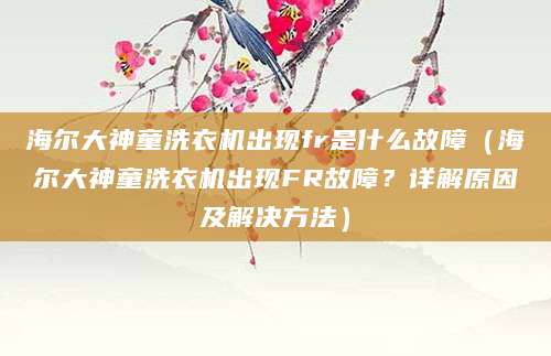 海尔大神童洗衣机出现fr是什么故障（海尔大神童洗衣机出现FR故障？详解原因及解决方法）