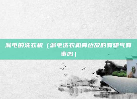 漏电的洗衣机（漏电洗衣机旁边放的有煤气有事吗）