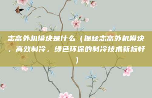 志高外机模块是什么（揭秘志高外机模块，高效制冷，绿色环保的制冷技术新标杆）