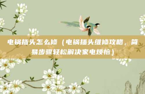 电锅插头怎么修（电锅插头维修攻略，简易步骤轻松解决家电烦恼）