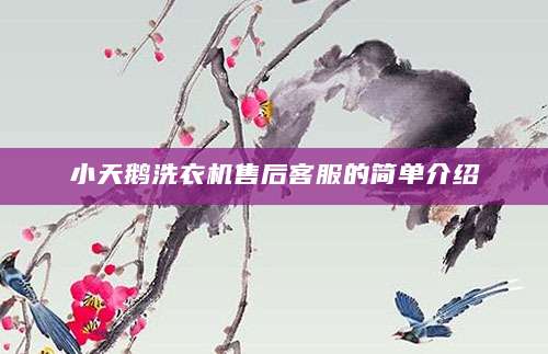 小天鹅洗衣机售后客服的简单介绍