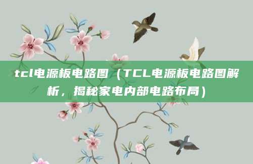 tcl电源板电路图(TCL电源板电路图解析,揭秘家电内部电路布局)