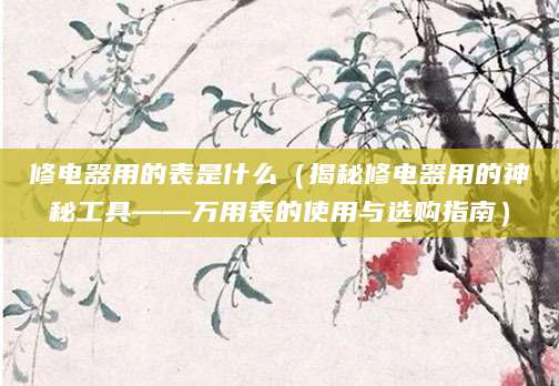 修电器用的表是什么（揭秘修电器用的神秘工具——万用表的使用与选购指南）