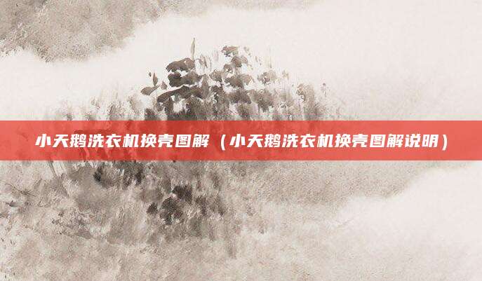 小天鹅洗衣机换壳图解（小天鹅洗衣机换壳图解说明）