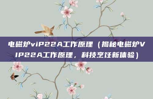 电磁炉viP22A工作原理(揭秘电磁炉VIP22A工作原理,科技烹饪新体验)
