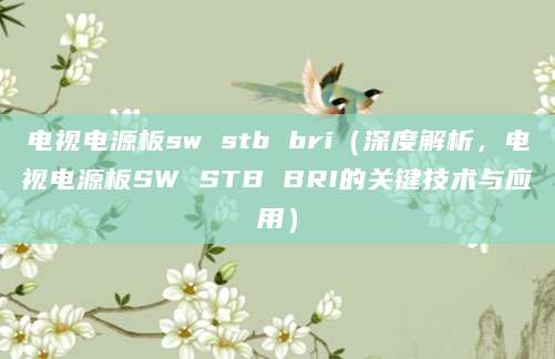 电视电源板sw stb bri(深度解析,电视电源板SW STB BRI的关键技术与应用)