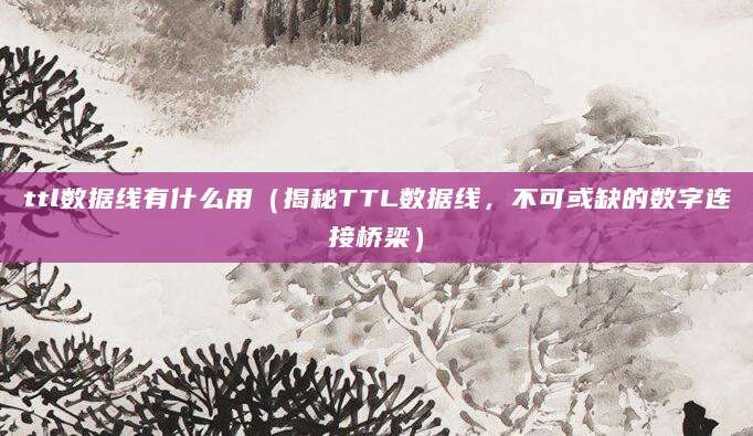 ttl数据线有什么用(揭秘TTL数据线,不可或缺的数字连接桥梁)