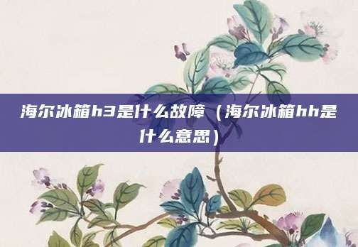 海尔冰箱h3是什么故障（海尔冰箱hh是什么意思）