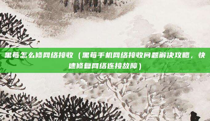 黑莓怎么修网络接收（黑莓手机网络接收问题解决攻略，快速修复网络连接故障）