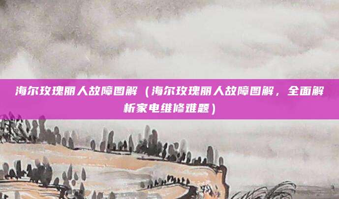 海尔玫瑰丽人故障图解（海尔玫瑰丽人故障图解，全面解析家电维修难题）