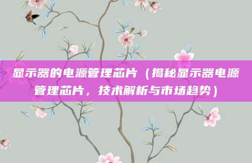 显示器的电源管理芯片(揭秘显示器电源管理芯片,技术解析与市场趋势)
