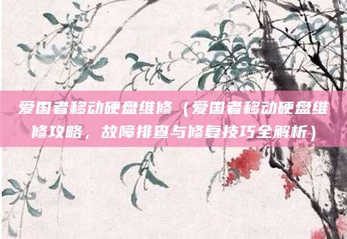 爱国者移动硬盘维修（爱国者移动硬盘维修攻略，故障排查与修复技巧全解析）